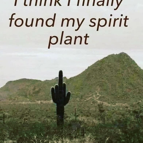 Meet your Posher, Chris - Picture 7 of 10